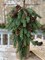 Alpine Evergreen Pinecone Drop | 27" - Final sale / Non-returnable and Non-refundable